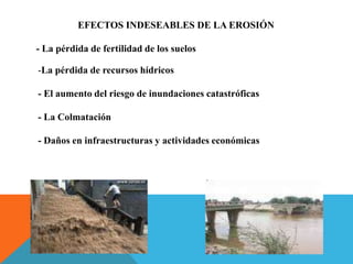 EFECTOS INDESEABLES DE LA EROSIÓN
- La pérdida de fertilidad de los suelos
-La pérdida de recursos hídricos
- El aumento del riesgo de inundaciones catastróficas
- La Colmatación
- Daños en infraestructuras y actividades económicas
 