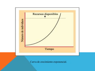 Curva de crecimiento exponencial.
 