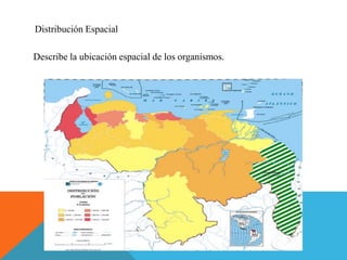 Distribución Espacial
Describe la ubicación espacial de los organismos.
 