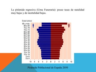 La pirámide regresiva (Urna Funeraria): posee tasas de natalidad
muy bajas y de mortalidad bajas.
Pirámide Poblacional de España 2050
 
