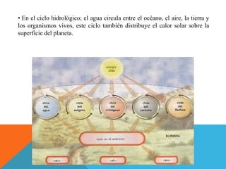 • En el ciclo hidrológico; el agua circula entre el océano, el aire, la tierra y
los organismos vivos, este ciclo también distribuye el calor solar sobre la
superficie del planeta.
 