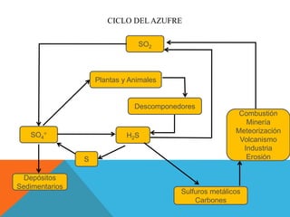 CICLO DEL AZUFRE
Depósitos
Sedimentarios
SO2
SO4
=
S
Plantas y Animales
Sulfuros metálicos
Carbones
Combustión
Minería
Meteorización
Volcanismo
Industria
Erosión
Descomponedores
H2S
 