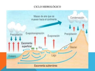 CICLO HIDROLÓGICO
 