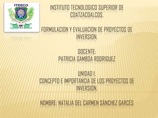 INSTITUTO TECNOLOGICO SUPERIOR DE
              COATZACOALCOS.

FORMULACION Y EVALUACION DE PROYECTOS DE
               INVERSION.

                 DOCENTE:
        PATRICIA GAMBOA RODRIGUEZ

                 UNIDAD 1.
CONCEPTO E IMPORTANCIA DE LOS PROYECTOS DE
                INVERSION.

NOMBRE: NATALIA DEL CARMEN SÁNCHEZ GARCÉS
 