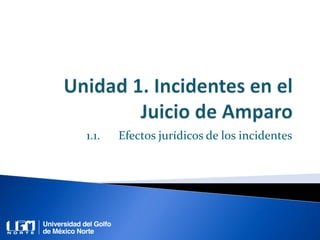 1.1. Efectos jurídicos de los incidentes
 