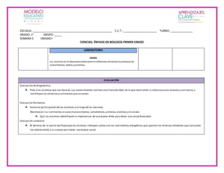 ESCUELA: ____________________________________________________ C.C.T.:______________________ TURNO:_______________
GRADO: 1° GRUPO: _____
SEMANA 5 UNIDADI
CIENCIAS- ÉNFASIS EN BIOLOGÍA PRIMER GRADO
LABORATORIO
CIERRE
Los alumnos en el laboratoriodetectaránendiferentes alimentos la presencia de
carbohidratos, lípidos yproteínas.
EVALUACIÓN
Evaluación dediagnóstico:
Pida a los alumnos quecon baseen sus conocimientos realicen una lluviadeideas en la que mencionen la diferenciaentre alimentoynutrimento, e
identifiquenlos alimentos ynutrimentos que consumen.
Evaluación formativa:
Valorela participación delos alumnos a lo largo delas sesiones.
Reconozcan los nutrimentos al cuerpohumano(lípidos, carbohidratos, proteínas, vitaminas yminerales.
Que los alumnos identifiquen la importancia de una buena dieta para tener una salud favorable.
Evaluación sumativa:
Al término de la sesión verifiquequelos alumnos indiquen cuáles son los nutrimentos energéticos que aportan los diversos alimentos que consumen
los adolescentes a su cuerpo para tener una buena salud.
 