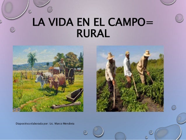 ¿Como era la vida en Ecuador en la zona rural?