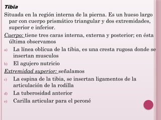 Tibia Linea unidad 1 Sistema Osteoarticular1212.pptx