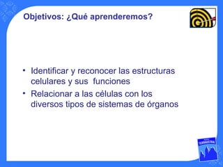 Objetivos: ¿Qué aprenderemos?
• Identificar y reconocer las estructuras
celulares y sus funciones
• Relacionar a las células con los
diversos tipos de sistemas de órganos
 