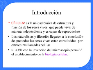 Introducción
• Célula: es la unidad básica de estructura y
función de los seres vivos, que puede vivir de
manera independiente y es capaz de reproducirse
• Los naturalistas y filósofos llegaron a la conclusión
de que todos los seres vivos están constituidos por
estructuras llamadas células
• S. XVII con la invención del microscopio permitió
el establecimiento de la biología celular.
 