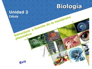 8vo
BiologíaBiología
Unidad 2
Estructura y función de la membrana
plasmática
Célula
 