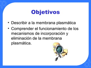 Objetivos
• Describir a la membrana plasmática
• Comprender el funcionamiento de los
mecanismos de incorporación y
eliminación de la membrana
plasmática.
 