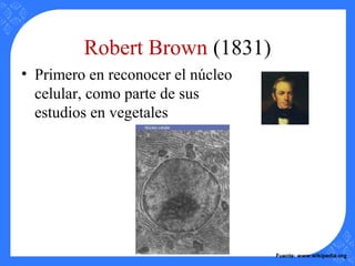 Robert Brown (1831)
• Primero en reconocer el núcleo
celular, como parte de sus
estudios en vegetales
Fuente: www.wikipedia.org
 