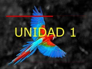 UNIDAD 1

 