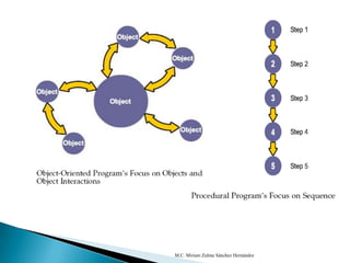 M.C. Miriam Zulma Sánchez Hernández
 