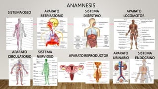 ANAMNESIS
 