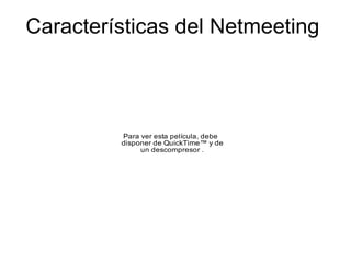 Caracter ísticas del Netmeeting 