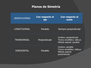 Planos de Simetría ORIENTACIÓNES Con respecto al eje Con respecto al suelo LONGITUDINAL Paralelo Siempre perpendicular TRANSVERSAL Perpendicular Cerebro: perpendicular Tronco encefálico: oblicuo Médula espinal: paralelo HORIZONTAL Paralelo Cerebro: paralelo Tronco encefálico: oblicuo Médula espinal: perpendicular 