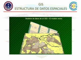 GIS
ESTRUCTURA DE DATOS ESPACIALES

 