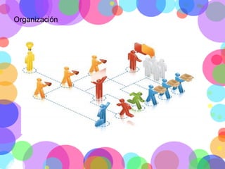 Organización

 