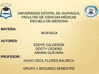 UNIVERSIDAD ESTATAL DE GUAYAQUIL
FACULTAD DE CIENCIAS MÉDICAS
ESCUELA DE MEDICINA
MATERIA:
BIOFISICA
AUTORES:
EDDYE CALDERÓN
DOCTY CEDEÑO
ARIANA GUEVARA
PROFESOR:
HUGO CECIL FLORES BALSECA
GRUPO 1 SEGUNDO SEMESTRE
 