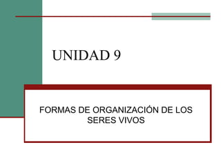 UNIDAD 9
FORMAS DE ORGANIZACIÓN DE LOS
SERES VIVOS
 