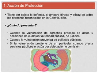 1. Acción de Protección
• Tiene por objeto la defensa, el amparo directo y eficaz de todos
los derechos reconocidos en la Constitución.
• ¿Cuándo presentar?
• Cuando la vulneración de derechos procede de actos u
omisiones de cualquier autoridad pública, no judicial.
• Cuando la vulneración provenga de políticas públicas.
• Si la vulneración proviene de un particular cuando presta
servicios públicos o actúa por delegación o comisión.
 