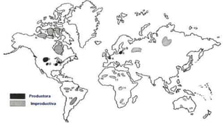  Estas cuencas se localizan en la parte central de los continentes, generalmente son rellenadas con
una mezcla de sedimentos siliciclasticos o carbonatados.
 Constituyen el 2% de todas las cuencas petroleras existentes en el mundo y menos del 1% de
cuencas con contenido de gas.
 La baja recuperación se atribuye a la poca profundidad de la cuenca, las trampas son
principalmente de tipo estratigráfico alrededor de los márgenes de la cuenca.
 