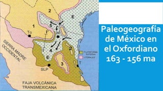 Paleogeografía
de México en
el Oxfordiano
163 - 156 ma
 