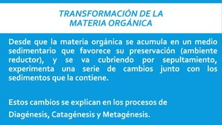 TRANSFORMACIÓN DE LA
MATERIA ORGÁNICA
Desde que la materia orgánica se acumula en un medio
sedimentario que favorece su preservación (ambiente
reductor), y se va cubriendo por sepultamiento,
experimenta una serie de cambios junto con los
sedimentos que la contiene.
Estos cambios se explican en los procesos de
Diagénesis, Catagénesis y Metagénesis.
 