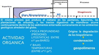 El mismo proceso que produce el metano en los pantanos, basureros, las
plantaciones de arbustos, y los tractos digestivos de mamíferos ocurre
continuamente dentro de los sedimentos enterrados someramente en los ambientes
geológicos alrededor del globo.
ACTIVIDAD
ORGANICA
POCA PROFUNDIDAD
(PRESIONES
LITOSTÁTICAS ENTRE
0Y 300 BARES)
 BAJAS
TEMPERATURAS
(ENTRE 0°Y 50°).
Origina la degradación
de los biopolímeros
condensación
geopolímeros
 