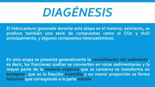 DIAGÉNESIS
El hidrocarburo generado durante esta etapa es el metano; asimismo, se
produce también una serie de compuestos como el CO2 y H2O
principalmente, y algunos compuestos heteroatómicos.
En esta etapa se presenta generalmente la consolidación del sedimento,
es decir, las fracciones sueltas se convierten en rocas sedimentarias y la
mayor parte de la materia orgánica que se conserva se transforma en
kerógeno, que es la fracción insoluble y en menor proporción se forma
betumen que corresponde a la parte soluble.
 