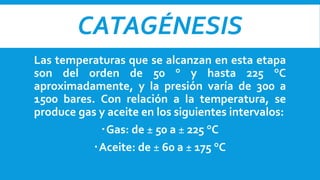 CATAGÉNESIS
Las temperaturas que se alcanzan en esta etapa
son del orden de 50 ° y hasta 225 °C
aproximadamente, y la presión varía de 300 a
1500 bares. Con relación a la temperatura, se
produce gas y aceite en los siguientes intervalos:
Gas: de ± 50 a ± 225 °C
Aceite: de ± 60 a ± 175 °C
 