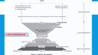 CATAGÉNESIS
 