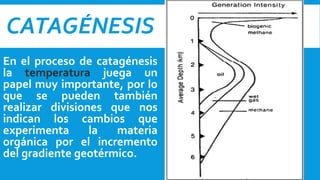 CATAGÉNESIS
En el proceso de catagénesis
la temperatura juega un
papel muy importante, por lo
que se pueden también
realizar divisiones que nos
indican los cambios que
experimenta la materia
orgánica por el incremento
del gradiente geotérmico.
 
