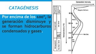 CATAGÉNESIS
Por encima de los 100°, la
generación disminuye y
se forman hidrocarburos
condensados y gases.
 