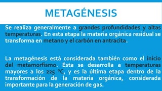 METAGÉNESIS
Se realiza generalmente a grandes profundidades y altas
temperaturas. En esta etapa la materia orgánica residual se
transforma en metano y el carbón en antracita.
La metagénesis está considerada también como el inicio
del metamorfismo. Ésta se desarrolla a temperaturas
mayores a los 225 °C, y es la última etapa dentro de la
transformación de la materia orgánica, considerada
importante para la generación de gas.
 