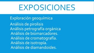 EXPOSICIONES
Exploración geoquímica
Análisis de pirolisis
Análisis petrografía orgánica
Análisis de biomarcadores.
Análisis de cromatografía.
Análisis de isotropía.
Análisis de diamandoides.
 