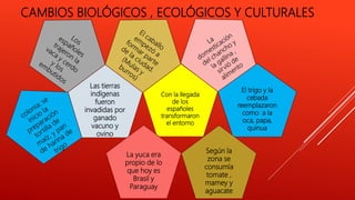 Con la llegada
de los
españoles
transformaron
el entorno
CAMBIOS BIOLÓGICOS , ECOLÓGICOS Y CULTURALES
Las tierras
indígenas
fueron
invadidas por
ganado
vacuno y
ovino
El trigo y la
cebada
reemplazaron
como a la
oca, papa,
quinua
La yuca era
propio de lo
que hoy es
Brasil y
Paraguay
Según la
zona se
consumía
tomate ,
mamey y
aguacate
 