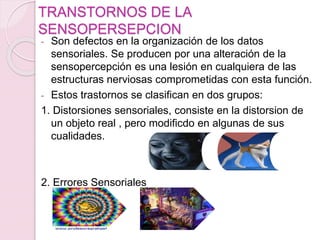 TRANSTORNOS DE LA
SENSOPERSEPCION
- Son defectos en la organización de los datos
sensoriales. Se producen por una alteración de la
sensopercepción es una lesión en cualquiera de las
estructuras nerviosas comprometidas con esta función.
- Estos trastornos se clasifican en dos grupos:
1. Distorsiones sensoriales, consiste en la distorsion de
un objeto real , pero modificdo en algunas de sus
cualidades.
2. Errores Sensoriales
 