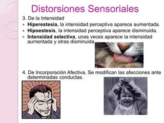 Distorsiones Sensoriales
3. De la Intensidad
 Hiperestesia, la intensidad perceptiva aparece aumentada.
 Hipoestesis, la intensidad perceptiva aparece disminuida.
 Intensidad selectiva, unas veces aparece la intensidad
aumentada y otras disminuida.
4. De Incorporación Afectiva, Se modifican las afecciones ante
determinadas conductas.
n
 