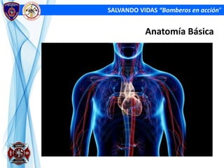 SALVANDO VIDAS “Bomberos en acción”
Anatomía Básica
 