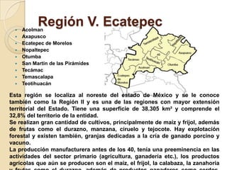 Región V. Ecatepec Acolman
 Axapusco
 Ecatepec de Morelos
 Nopaltepec
 Otumba
 San Martín de las Pirámides
 Tecámac
 Temascalapa
 Teotihuacán
Esta región se localiza al noreste del estado de México y se le conoce
también como la Región II y es una de las regiones con mayor extensión
territorial del Estado. Tiene una superficie de 38.305 km² y comprende el
32,8% del territorio de la entidad.
Se realizan gran cantidad de cultivos, principalmente de maíz y frijol, además
de frutas como el durazno, manzana, ciruelo y tejocote. Hay explotación
forestal y existen también, granjas dedicadas a la cría de ganado porcino y
vacuno.
La producción manufacturera antes de los 40, tenía una preeminencia en las
actividades del sector primario (agricultura, ganadería etc.), los productos
agrícolas que aún se producen son el maíz, el frijol, la calabaza, la zanahoria
 