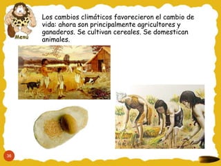 Los cambios climáticos favorecieron el cambio de
vida: ahora son principalmente agricultores y
ganaderos. Se cultivan cereales. Se domestican
animales.
36
 