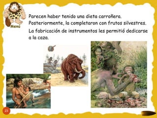 Parecen haber tenido una dieta carroñera.
     Posteriormente, la completaron con frutos silvestres.
     La fabricación de instrumentos les permitió dedicarse
     a la caza.




23
 
