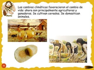 Los cambios climáticos favorecieron el cambio de
     vida: ahora son principalmente agricultores y
     ganaderos. Se cultivan cereales. Se domestican
     animales.




36
 