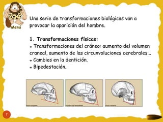 Una serie de transformaciones biológicas van a
    provocar la aparición del hombre.

    1. Transformaciones físicas:
     Transformaciones del cráneo: aumento del volumen


    craneal, aumento de las circunvoluciones cerebrales...
     Cambios en la dentición.


     Bipedestación.




7
 