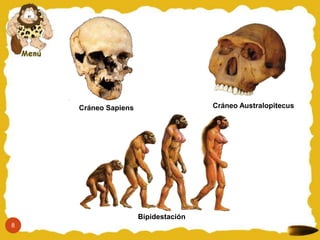 Cráneo Sapiens                   Cráneo Australopitecus




                     Bipidestación
8
 