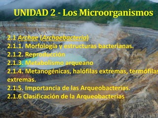 UNIDAD 2 - Los Microorganismos
 