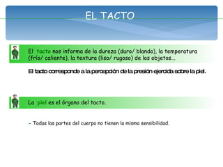 EL TACTO El  tacto  nos informa de la dureza (duro/ blando), la temperatura  (frío/ caliente), la textura (liso/ rugoso) de los objetos...  El tacto corresponde a la percepci ón de la presión ejercida sobre la piel. La  piel  es el órgano del tacto.  -  Todas las partes del cuerpo no tienen la misma sensibilidad. 